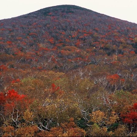 Ny Building 4Th Floor, Guest House Ichibangai, Roo / Vacation Stay 55905 Kitami Buitenkant foto