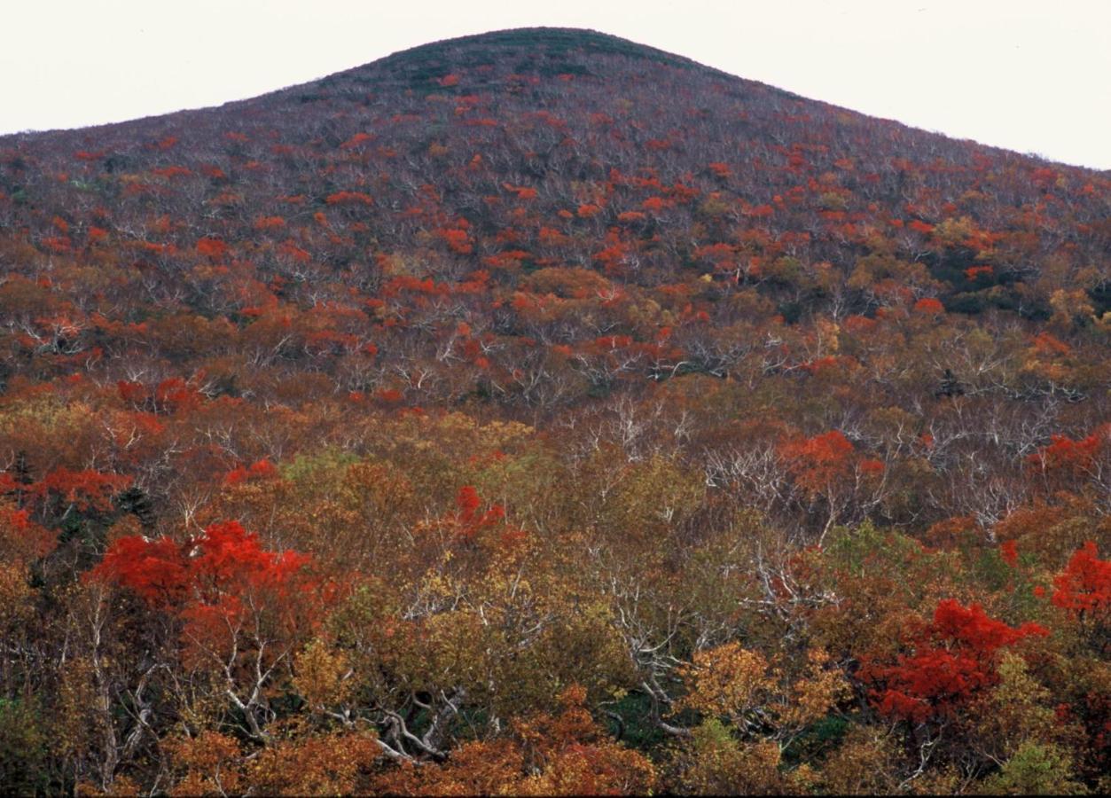 Ny Building 4Th Floor, Guest House Ichibangai, Roo / Vacation Stay 55905 Kitami Buitenkant foto